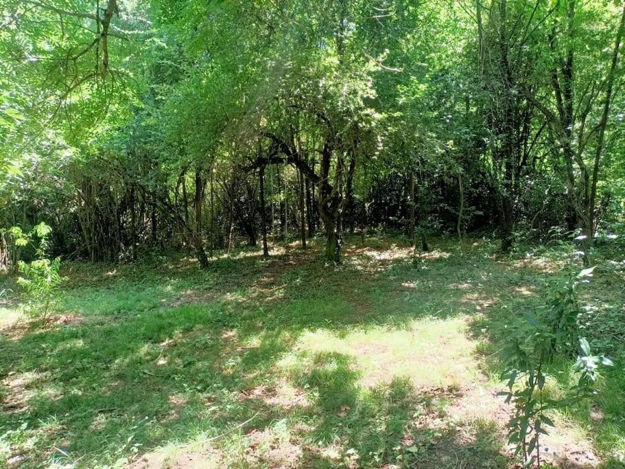 La Colline Aux Oiseaux, La Tranquillite Des Bois Villa Molieres-sur-Ceze Exterior photo